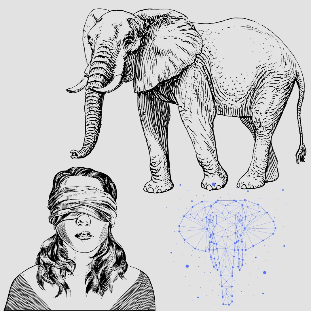 Elephant and the blindfold